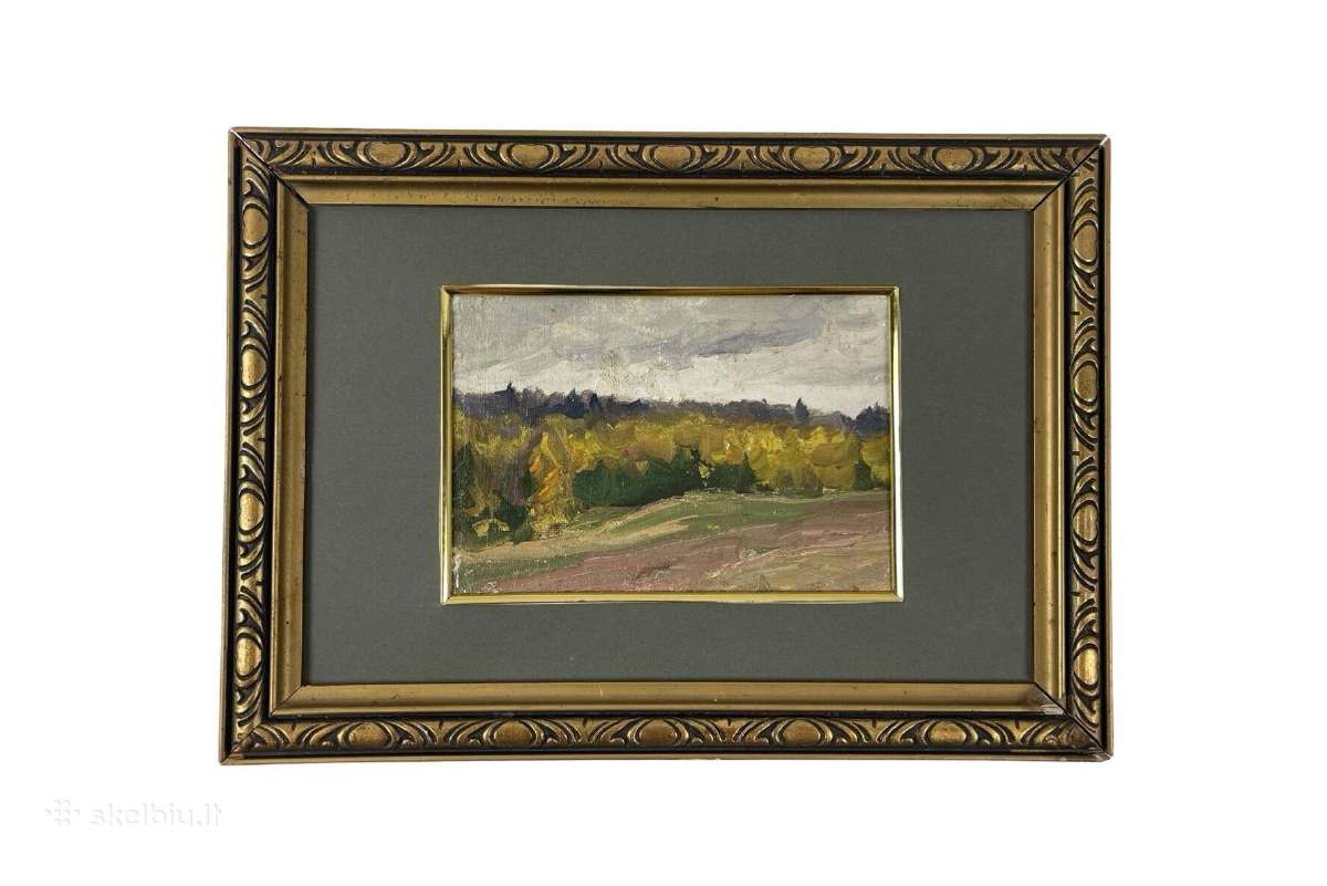 Drobė aliejus kaina 35 eurai