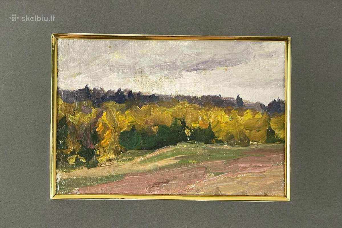 Drobė aliejus kaina 35 eurai - nuotraukos Nr. 2