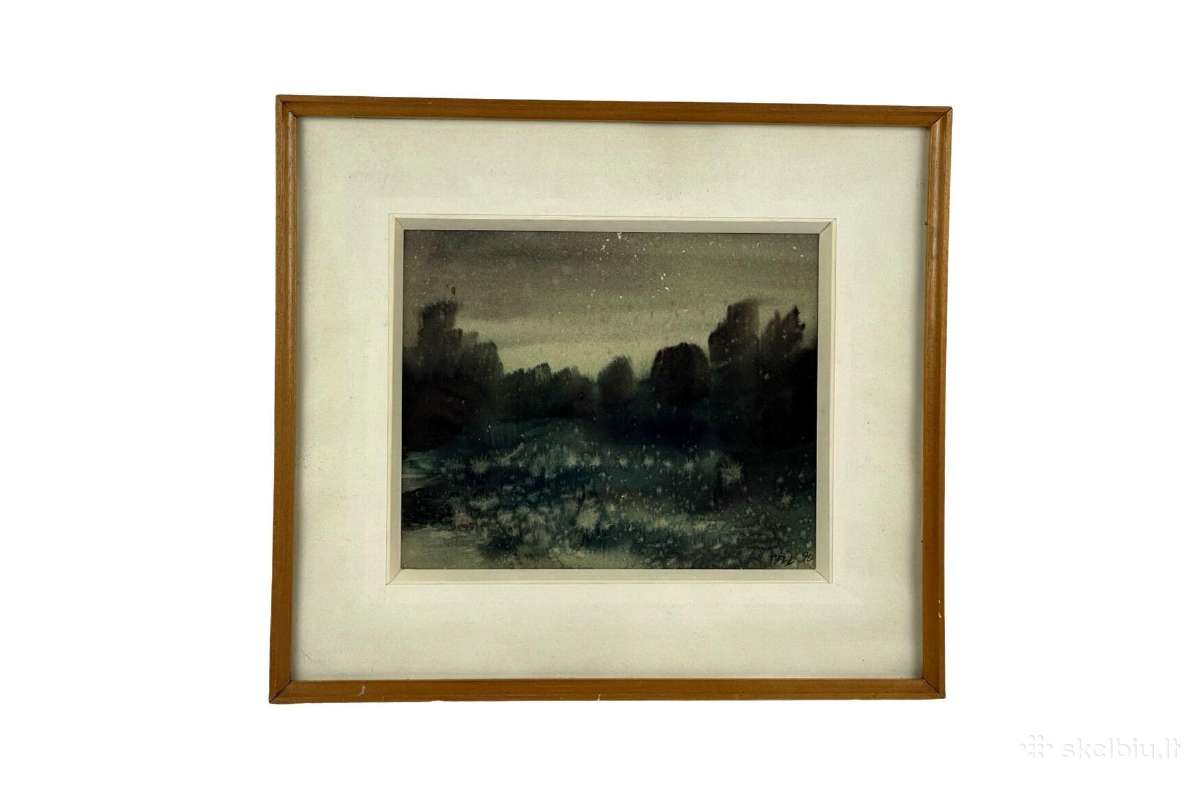 Popierius akvarelė kaina 25 eurai