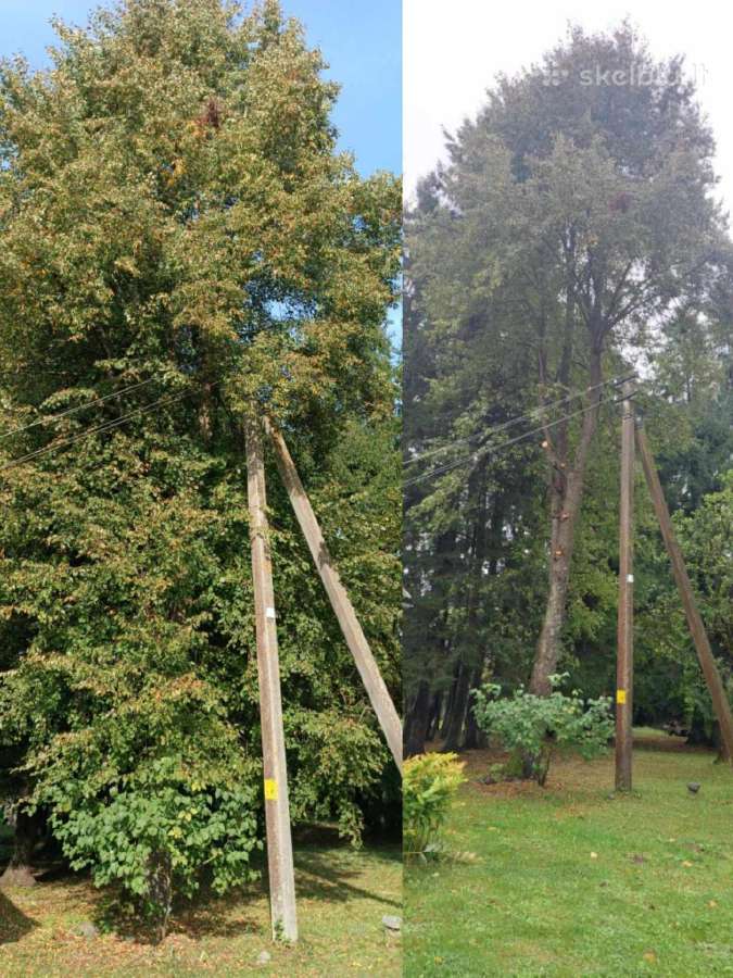 Medžių pjovimas, genėjimas, žolės pjovimas - nuotraukos Nr. 5