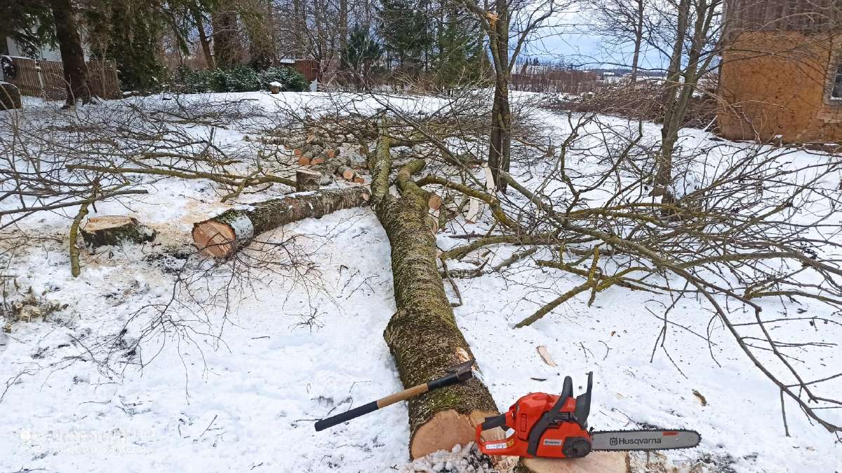 Medžių pjovimas, genėjimas, žolės pjovimas