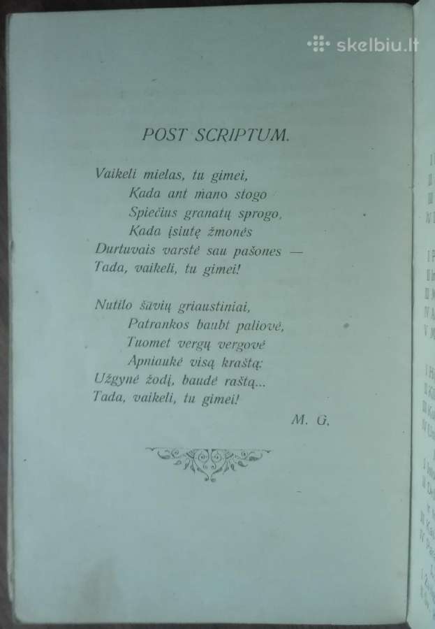 1892. Amerikos Mokykla M.gustaitis Seinai 1919 m. - nuotraukos Nr. 6