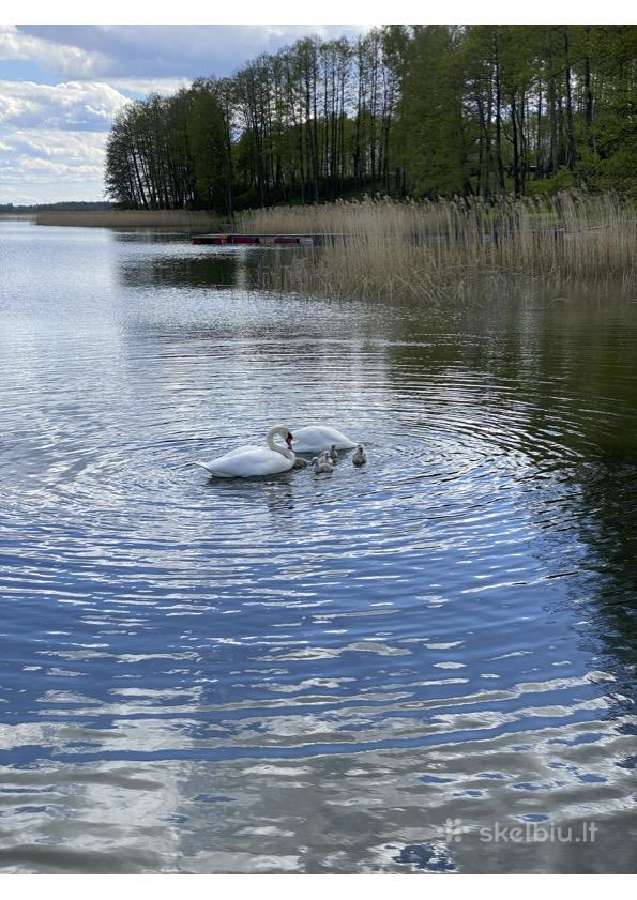 Perku sklypa prie Obelijos-sagavo-seirijo ežero