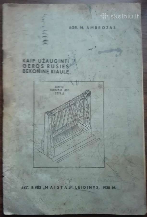 1898. Kaip Užauginti Geros Rūšies Bekoninę Kiaulę