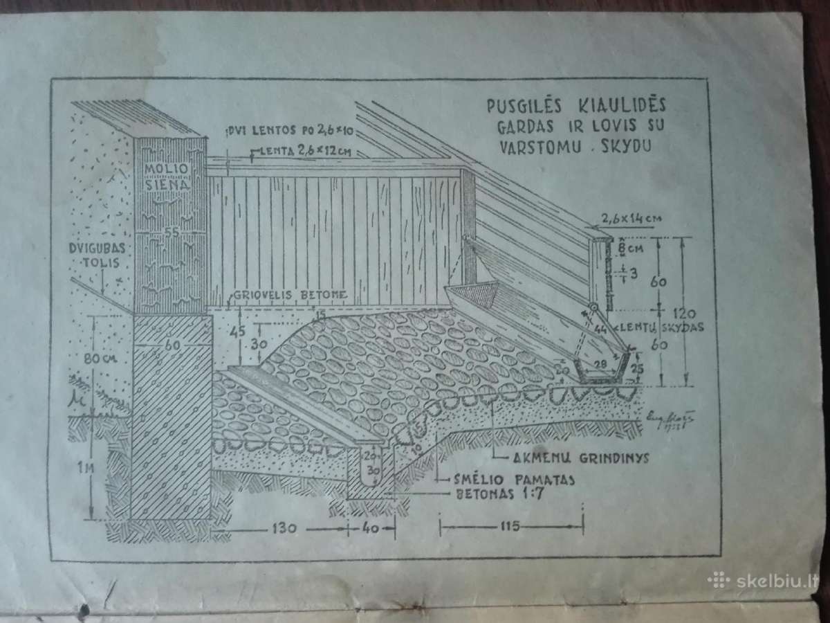 1898. Kaip Užauginti Geros Rūšies Bekoninę Kiaulę - nuotraukos Nr. 2
