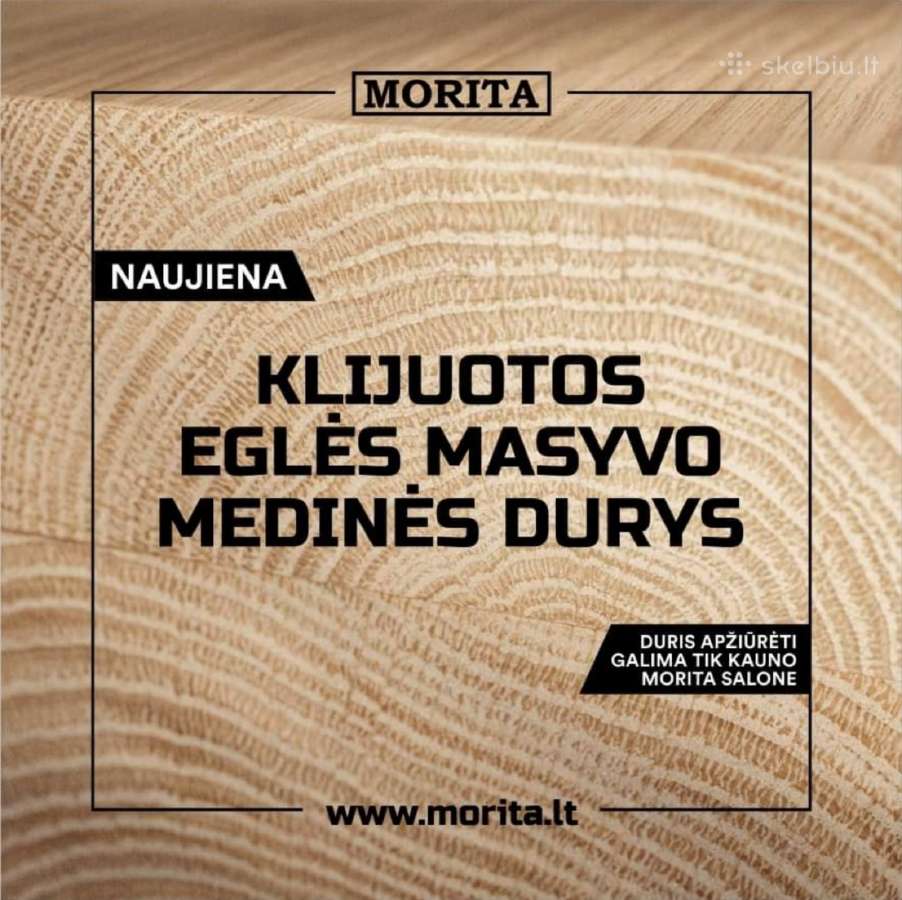Vidaus, lauko, priešgaisrinės ,techninės durys - nuotraukos Nr. 10