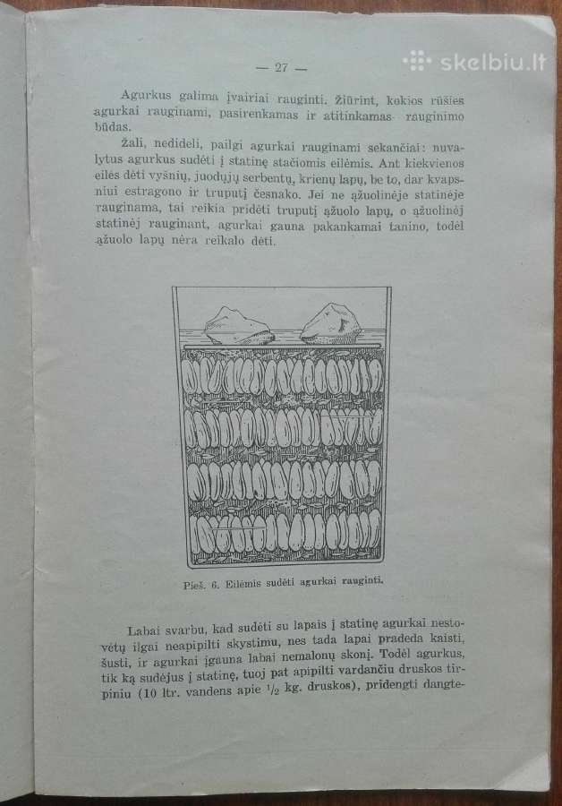 1899. Daržovių, Uogų, Vaisių Ir Grybų Konservai - nuotraukos Nr. 5