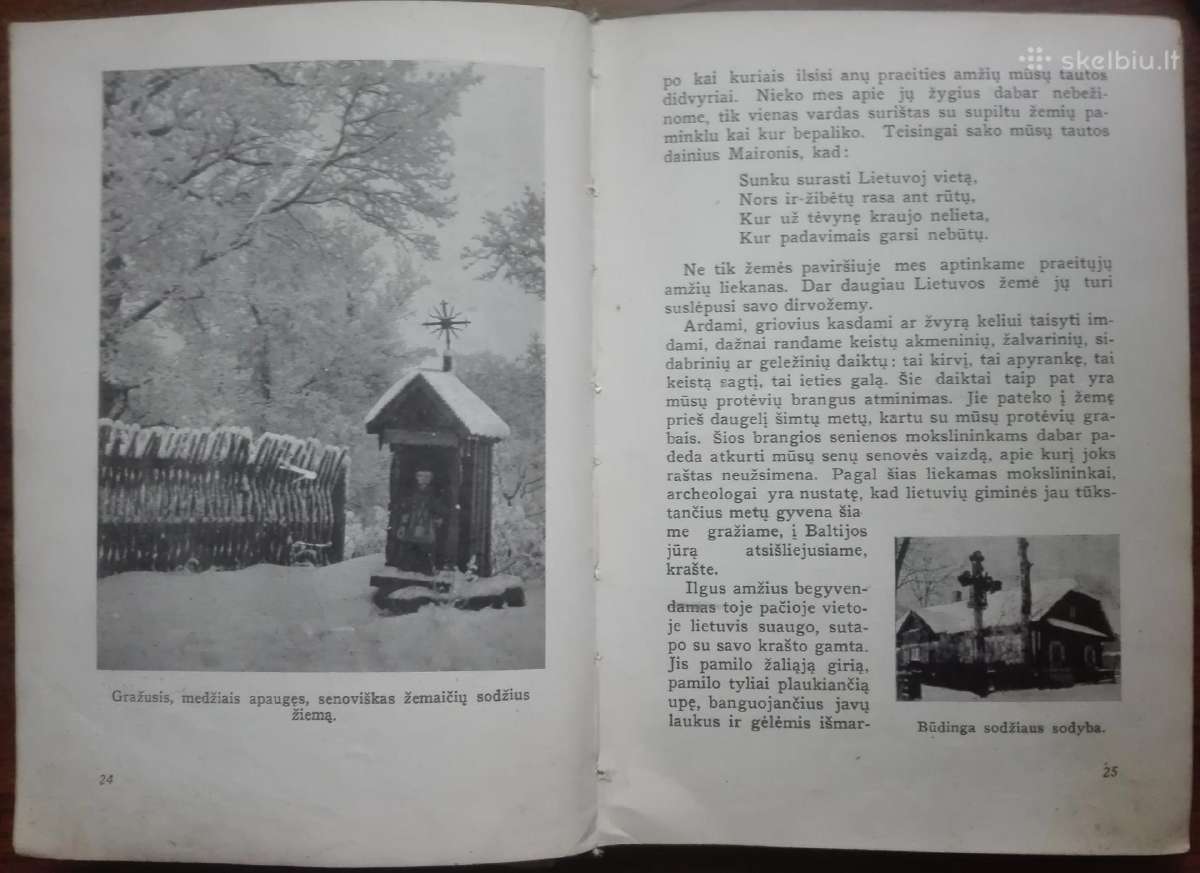1904. Naujoji Lietuva antikvarinė-kolekcinė - nuotraukos Nr. 6