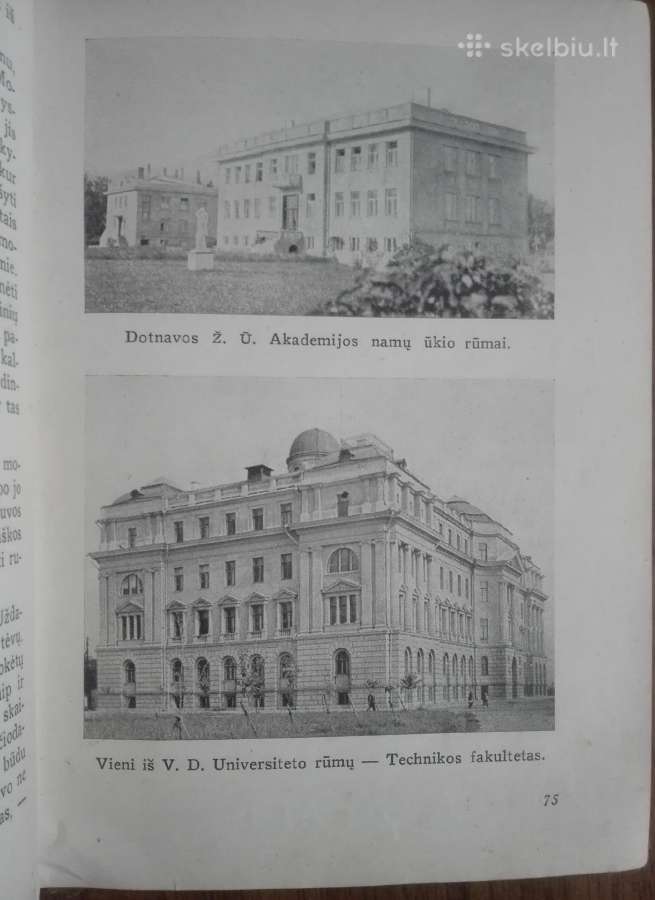 1904. Naujoji Lietuva antikvarinė-kolekcinė - nuotraukos Nr. 15