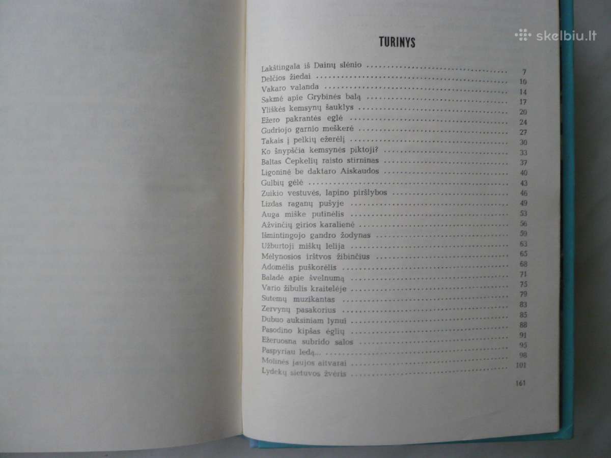 L. Grudzinskas - Laiškai beržo tošyje - nuotraukos Nr. 3