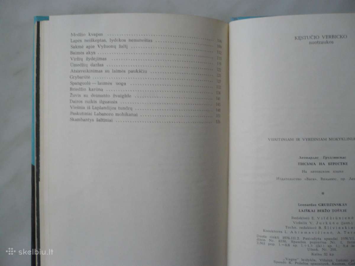 L. Grudzinskas - Laiškai beržo tošyje - nuotraukos Nr. 4
