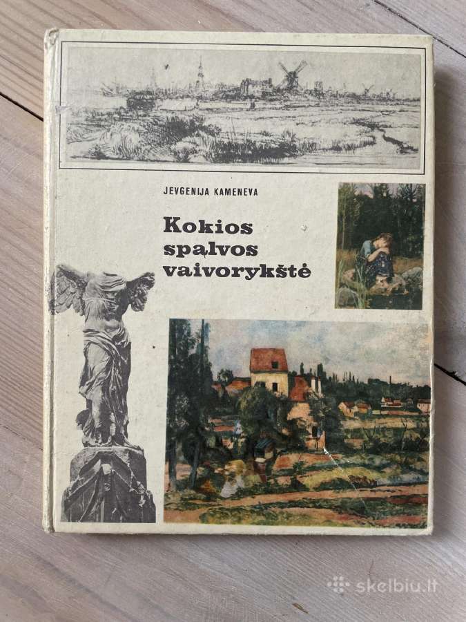 Kamenava. Kokios spalvos vaivorykštė. Dailės knyga
