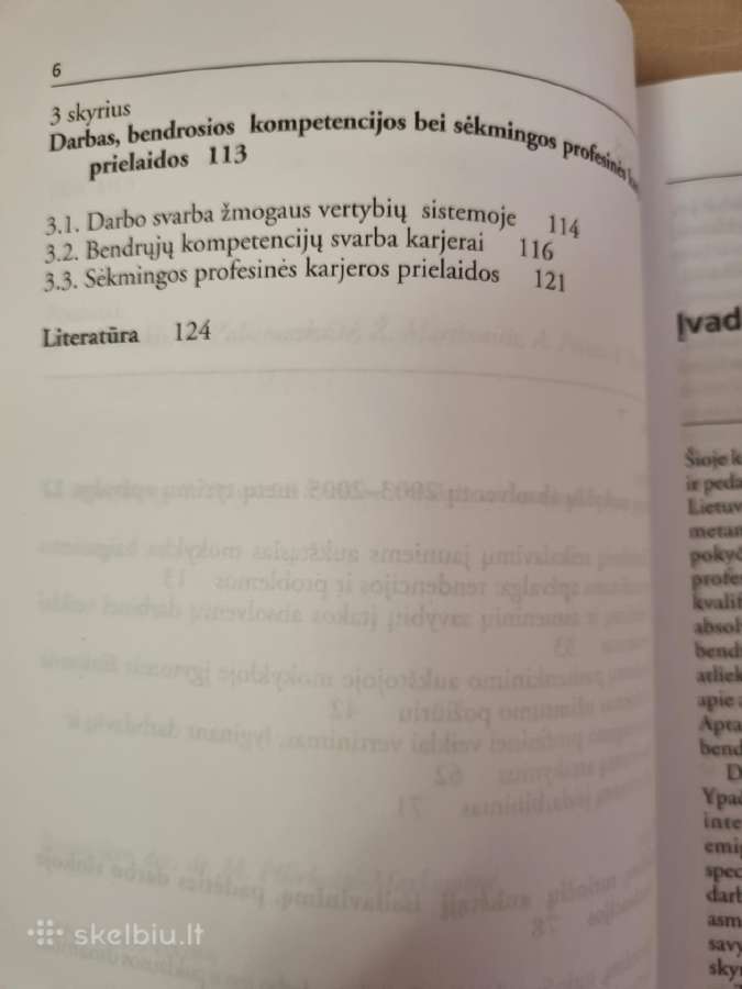Sėkmingos karjeros darbo rinkoje veiksniai - nuotraukos Nr. 4