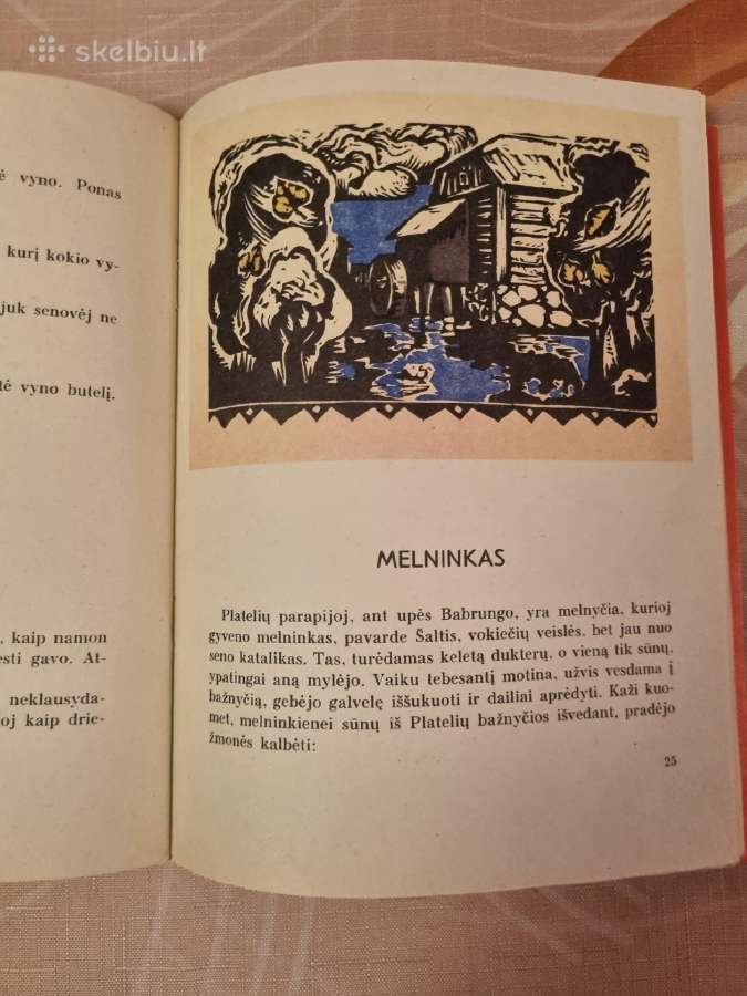 Mikė melagėlis - nuotraukos Nr. 6