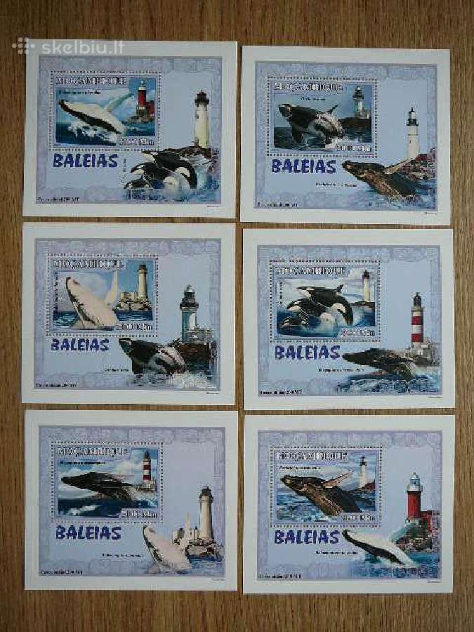 Svyturiai Banginiai Mozambikas 2007 svarus mzb888