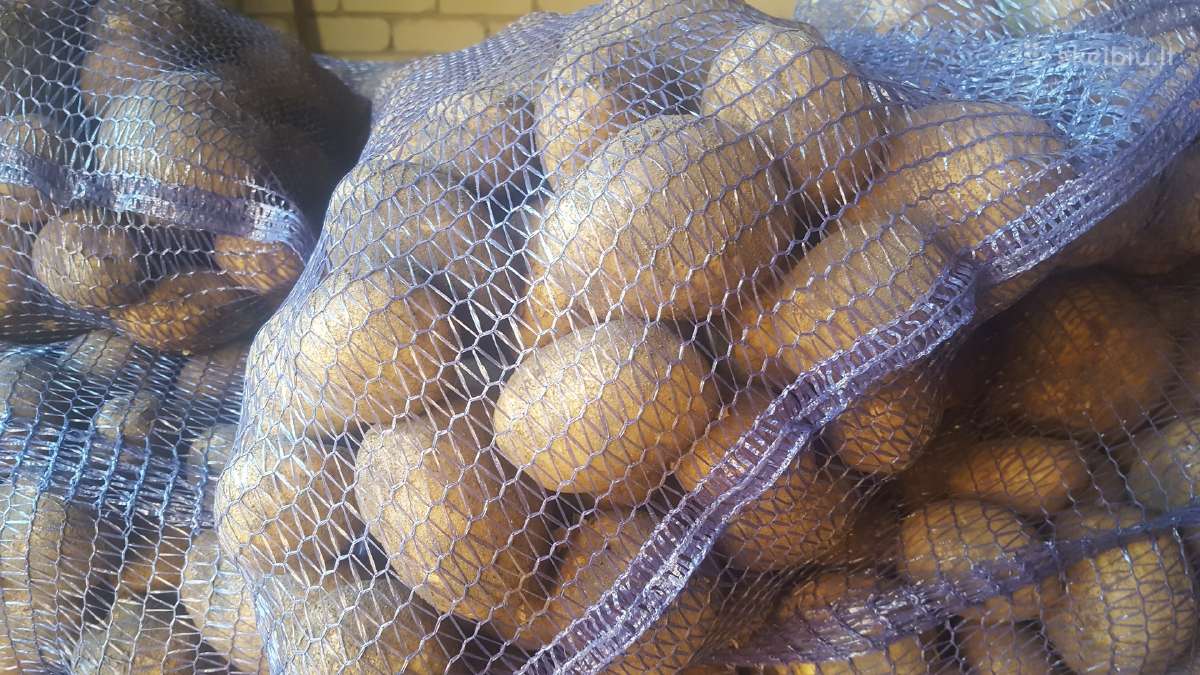 Bulvės maistinės pašarinės - nuotraukos Nr. 5