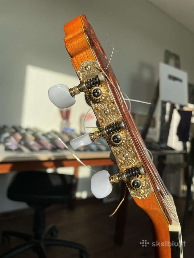 Profesionali gitara Francisco Esteve mod. 12 - nuotraukos Nr. 3