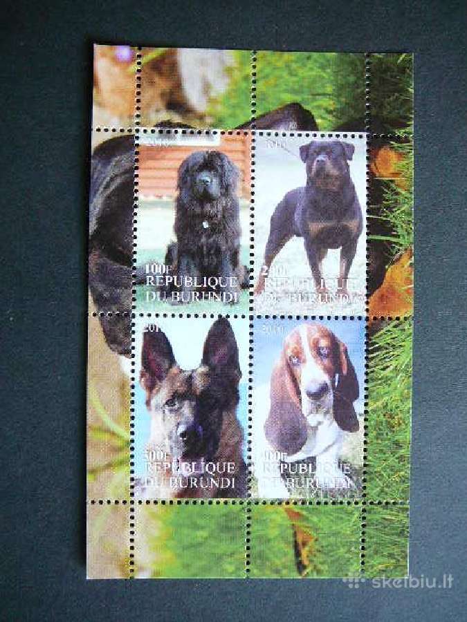 Sunys Burundis 2010 svarus brd312