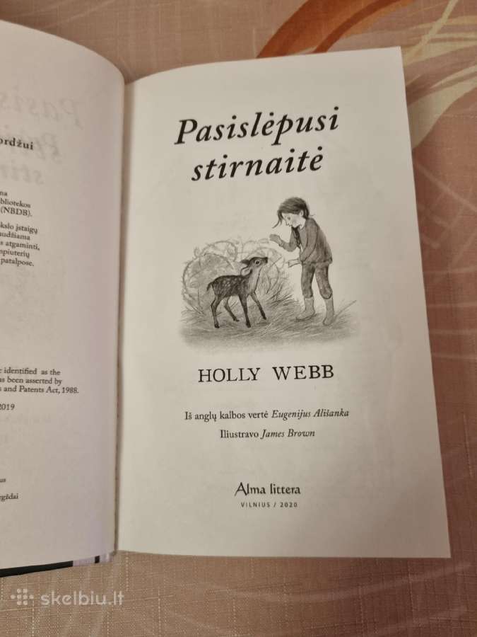Pasislėpusi stirnaitė - nuotraukos Nr. 2