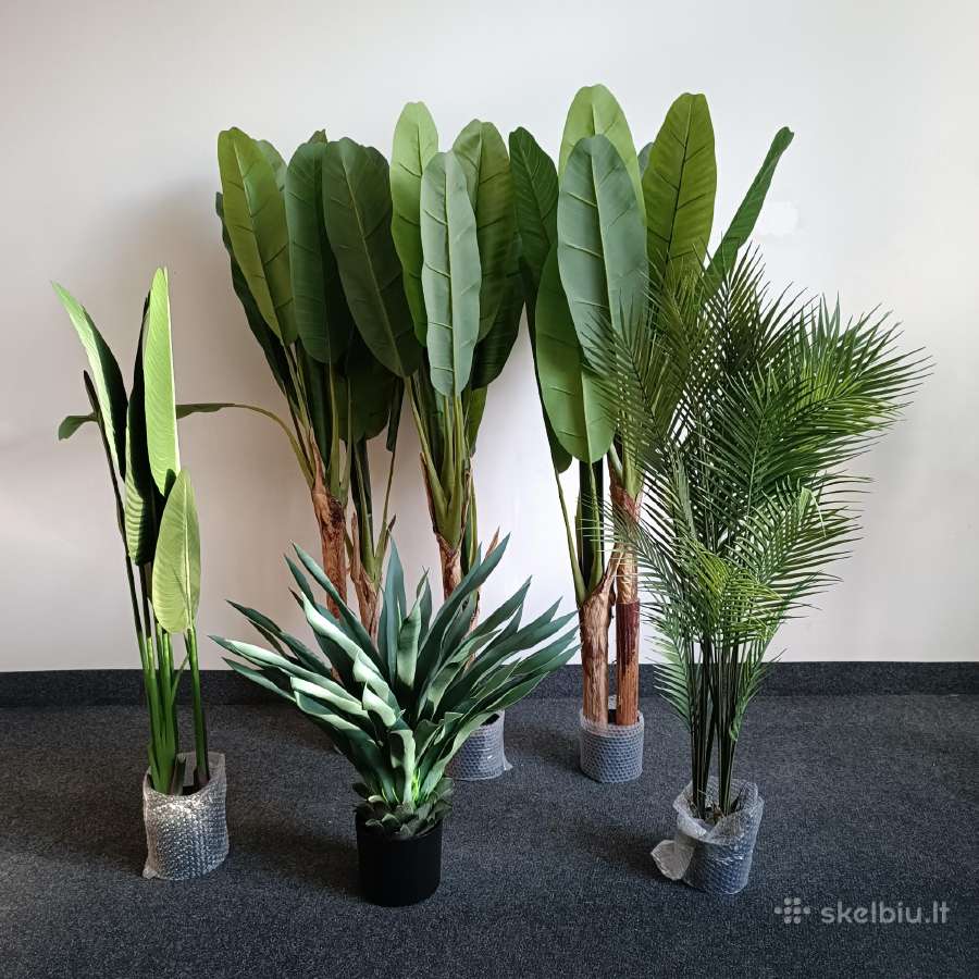 Dirbtinis augalas Bananmedis Strelicija Palmė