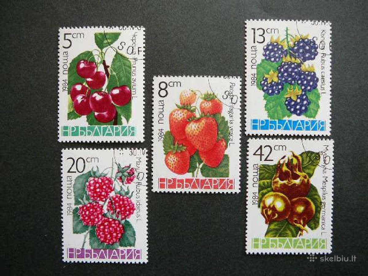 Uogos Bulgarija 1984 antsp. blg243
