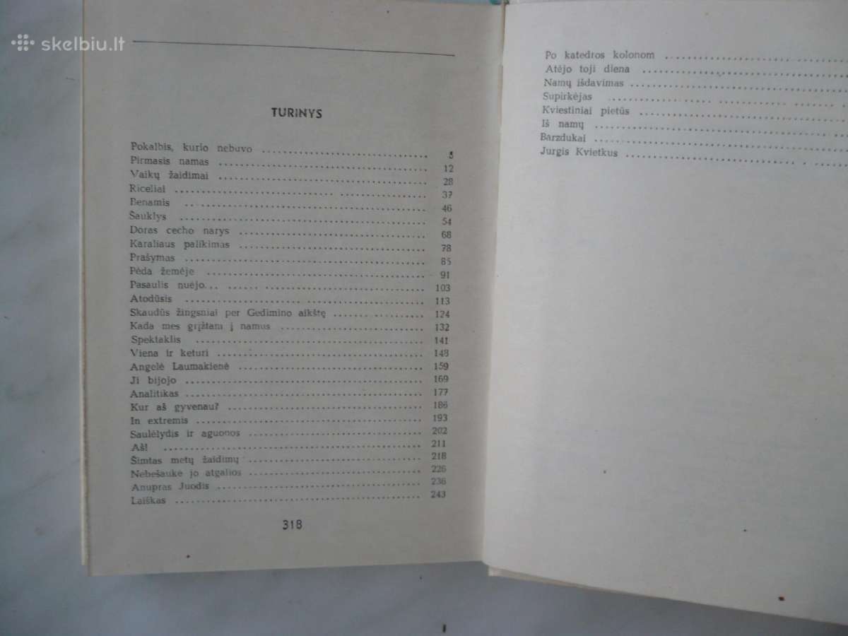 V. Rimkevičius - Namai - nuotraukos Nr. 2