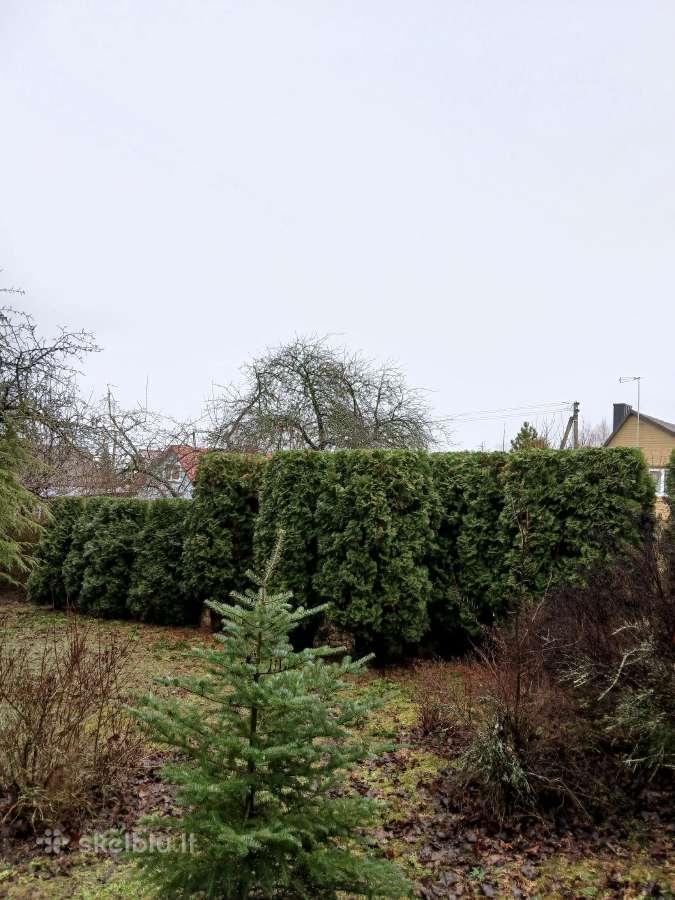 Aplinkos Tvarkymas Vilkaviškis Marijampolė ir k.t - nuotraukos Nr. 4