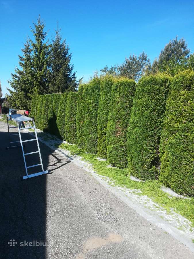 Aplinkos Tvarkymas Vilkaviškis Marijampolė ir k.t - nuotraukos Nr. 7