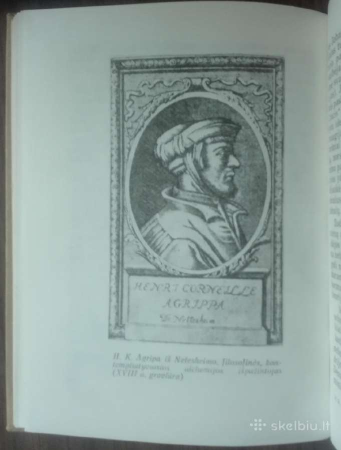 1913. Klaidūs Alcheminos Pasauliai R. Kalonaitis - nuotraukos Nr. 5