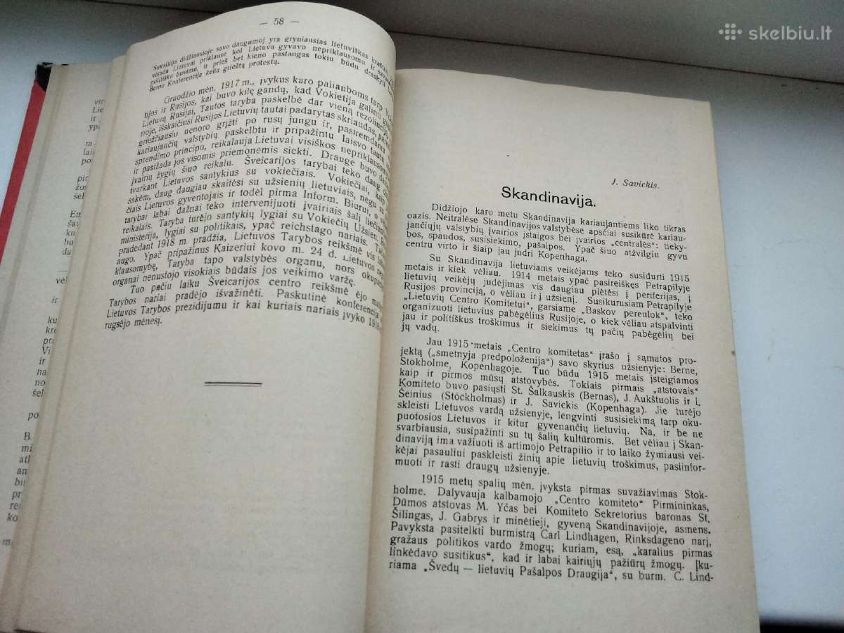 Pirmasis neprikl Lietuvos dešimtmetis1918-1928 - nuotraukos Nr. 5