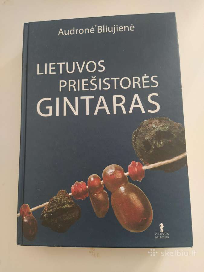 Knyga Lietuvos priešistores gintaras