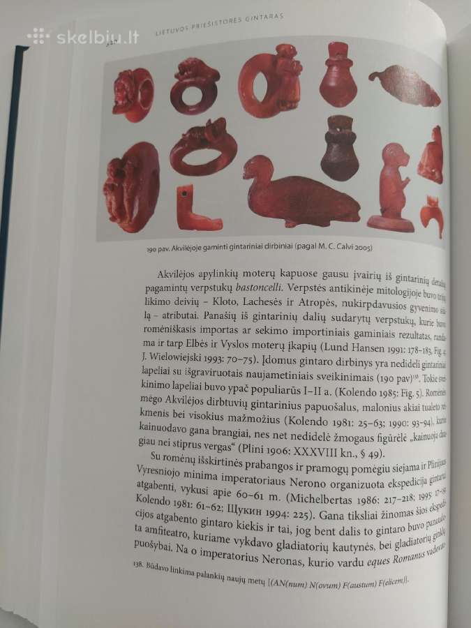 Knyga Lietuvos priešistores gintaras - nuotraukos Nr. 2
