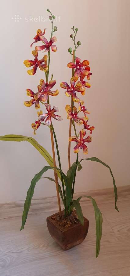 Dirbtinė orchidėja