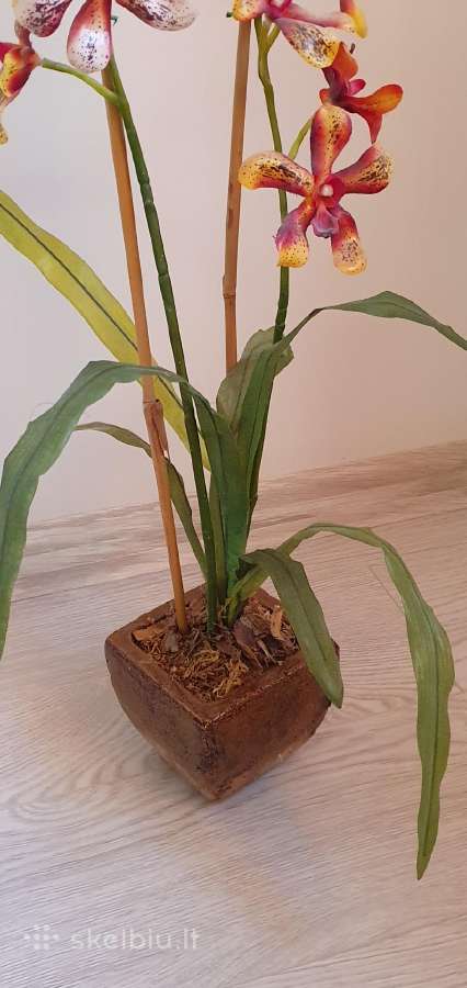 Dirbtinė orchidėja - nuotraukos Nr. 3