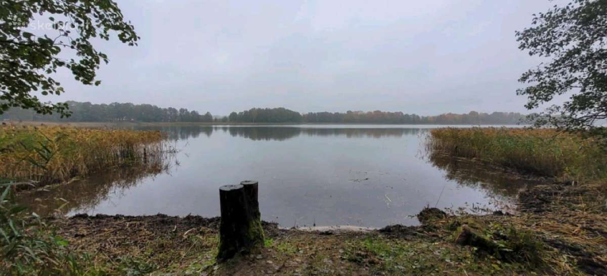 Paplūdimių įrengimas,nendrių naikinimas Molėtų raj - nuotraukos Nr. 18