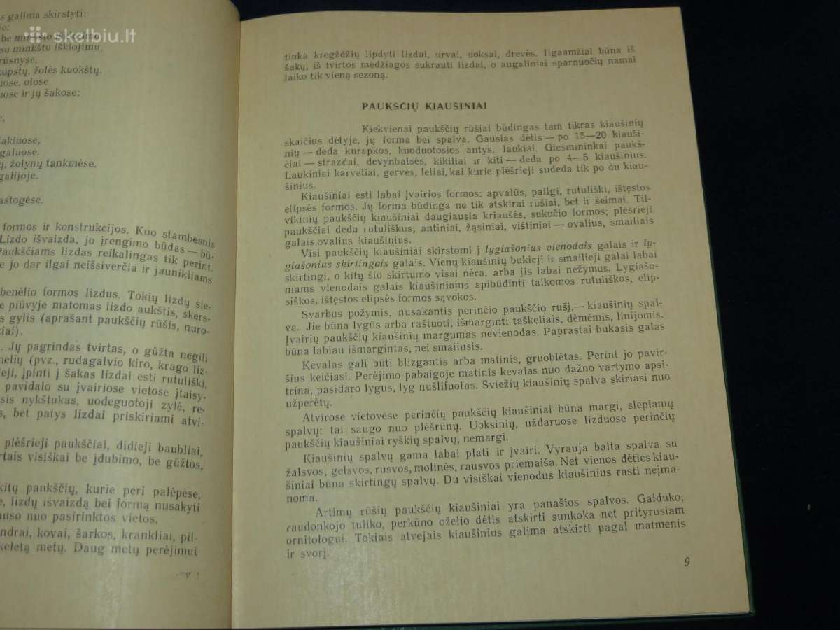 Knyga Sparnuočių namai 1976 - nuotraukos Nr. 6