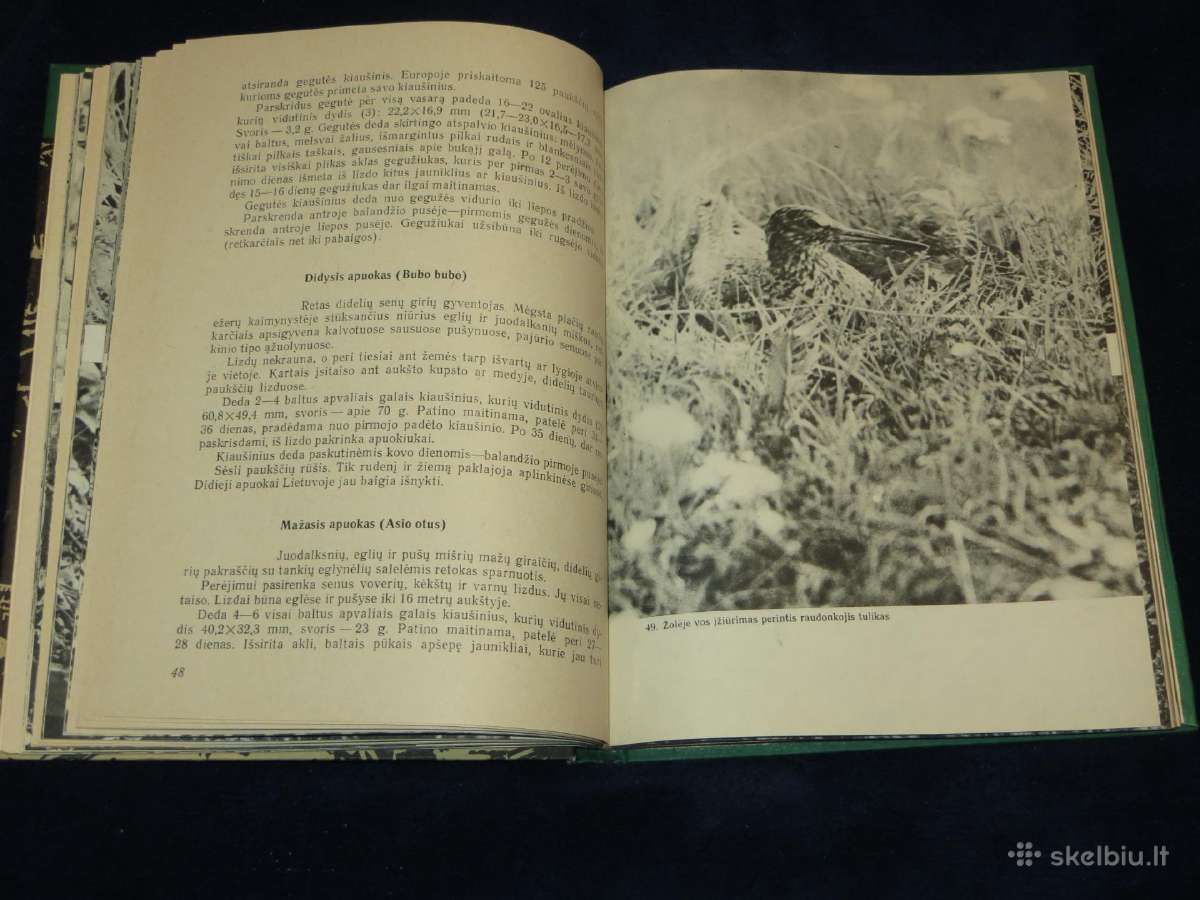 Knyga Sparnuočių namai 1976 - nuotraukos Nr. 11
