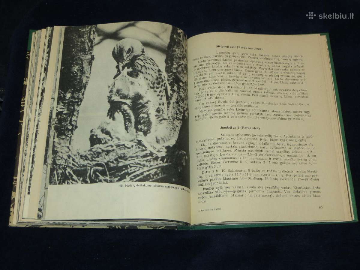 Knyga Sparnuočių namai 1976 - nuotraukos Nr. 13