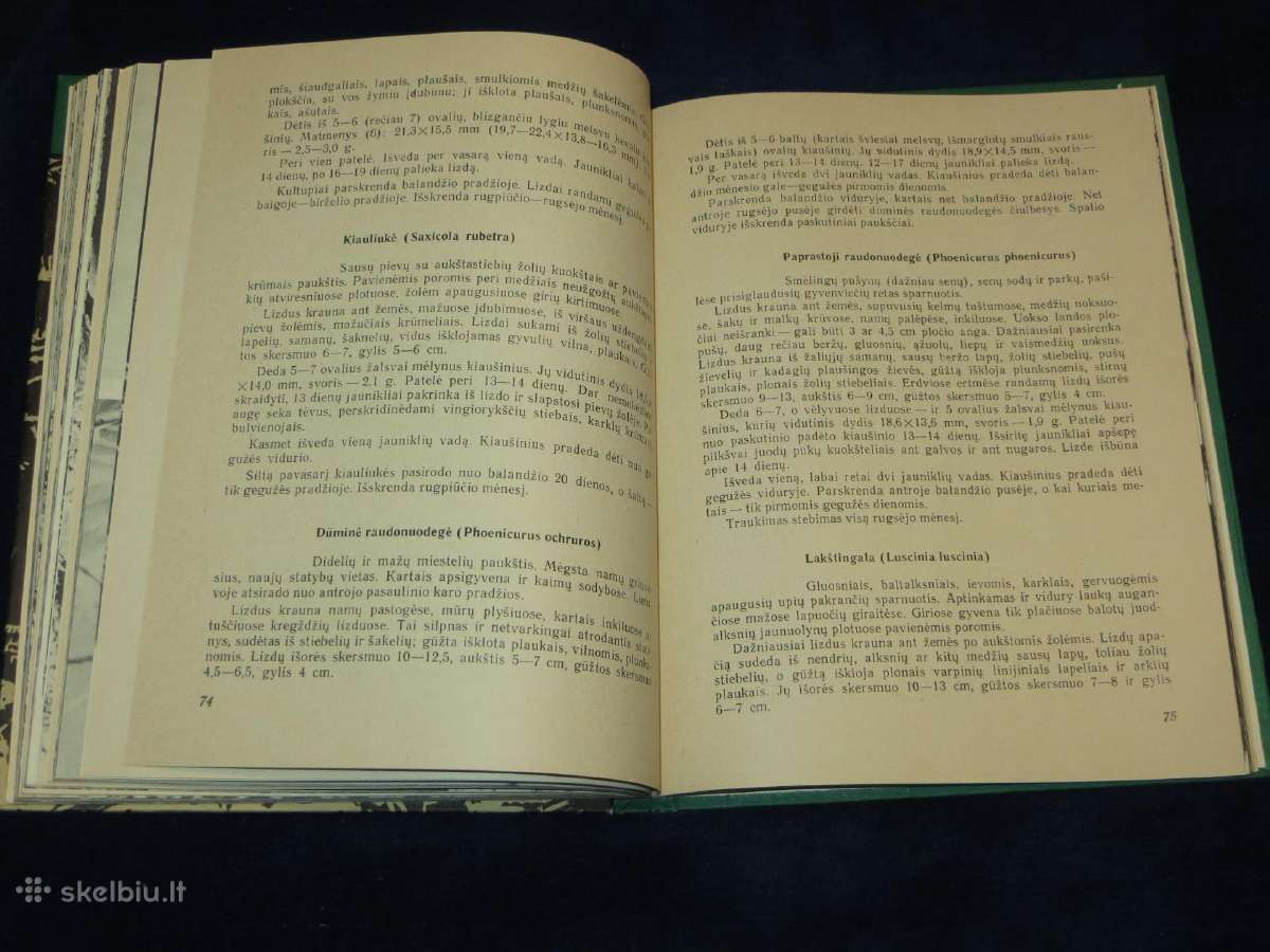 Knyga Sparnuočių namai 1976 - nuotraukos Nr. 14