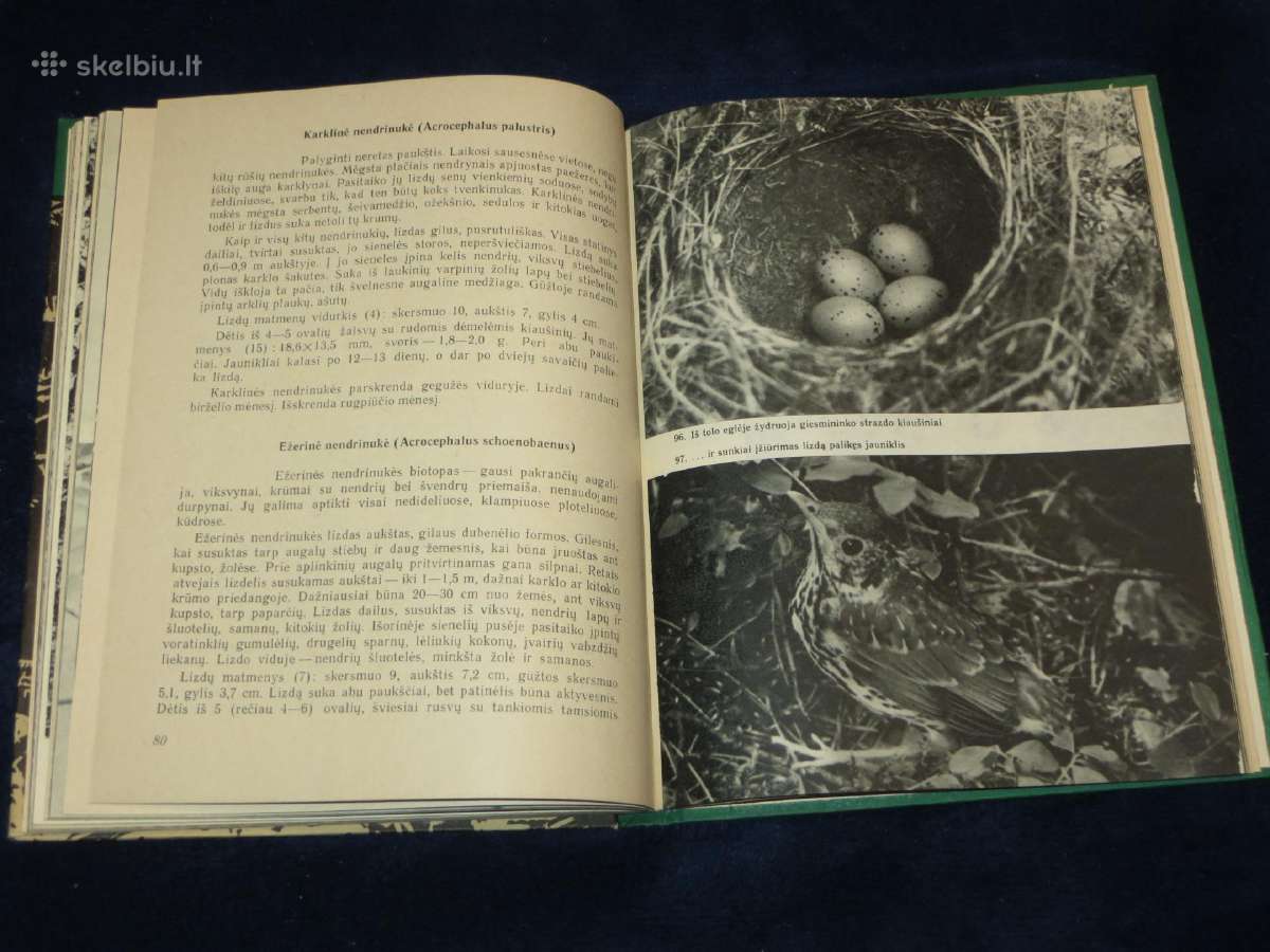 Knyga Sparnuočių namai 1976 - nuotraukos Nr. 15
