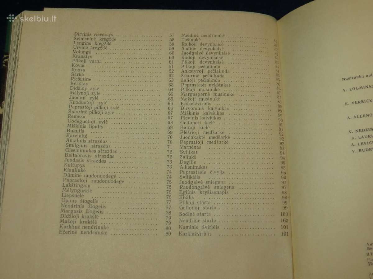 Knyga Sparnuočių namai 1976 - nuotraukos Nr. 17