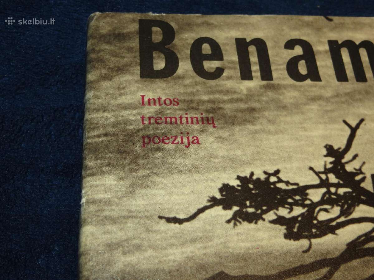 Knyga Benamiai. Intos tremtinių poezija 1989 - nuotraukos Nr. 2