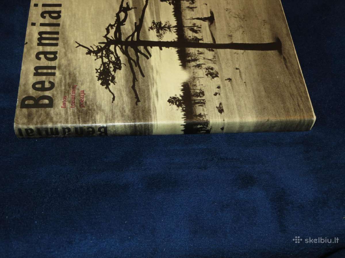 Knyga Benamiai. Intos tremtinių poezija 1989 - nuotraukos Nr. 3