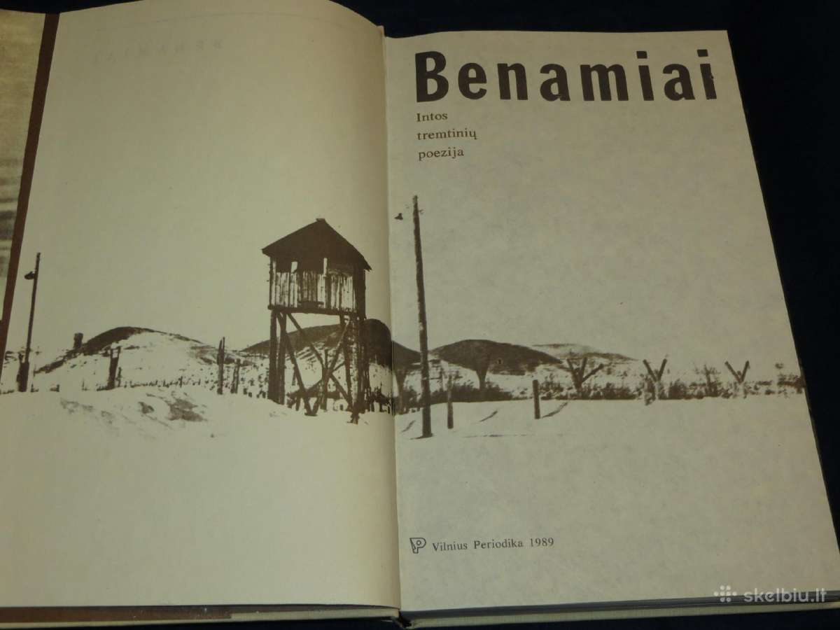 Knyga Benamiai. Intos tremtinių poezija 1989 - nuotraukos Nr. 5