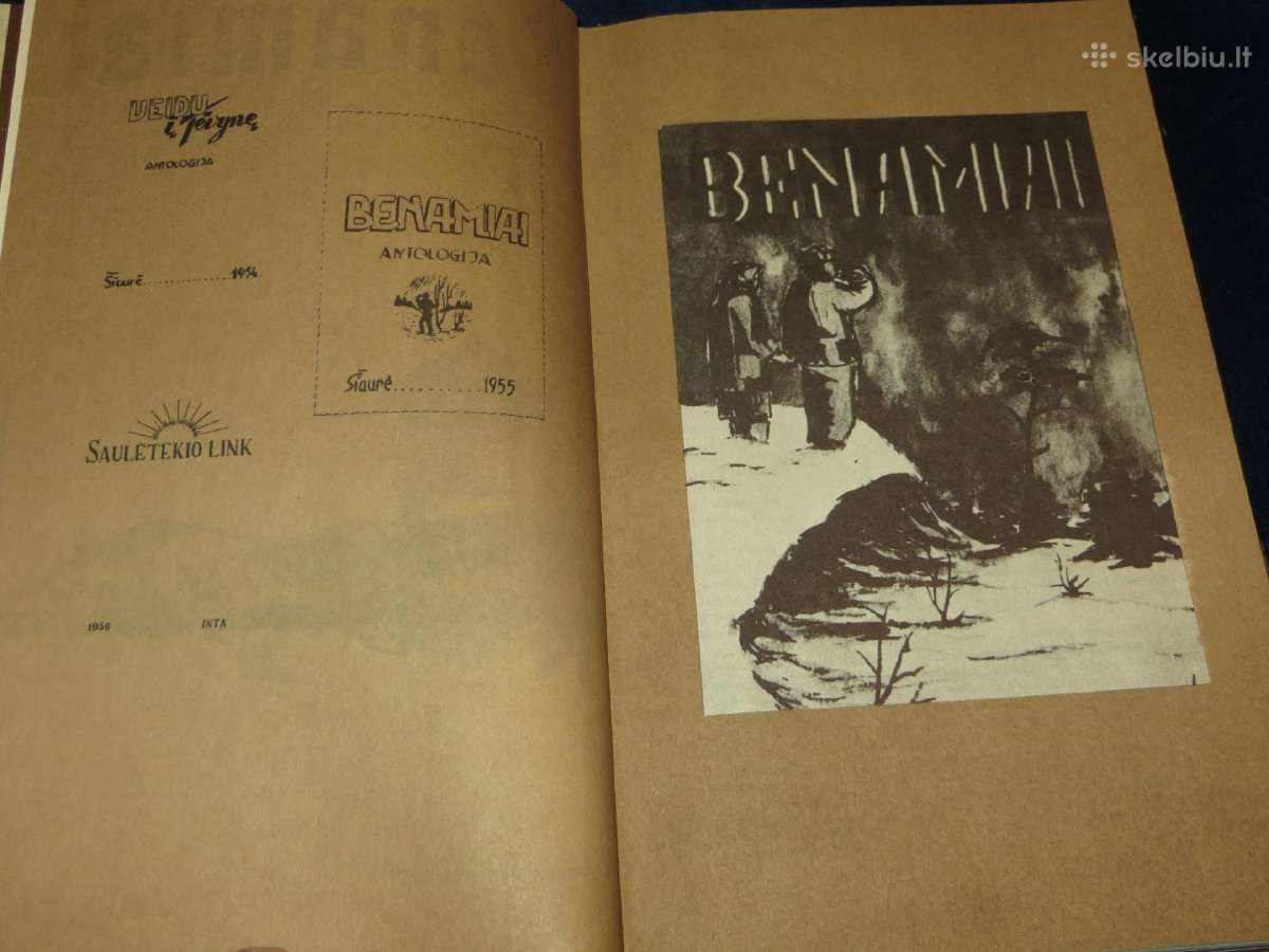 Knyga Benamiai. Intos tremtinių poezija 1989 - nuotraukos Nr. 6