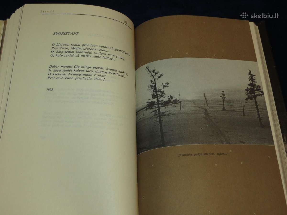 Knyga Benamiai. Intos tremtinių poezija 1989 - nuotraukos Nr. 12
