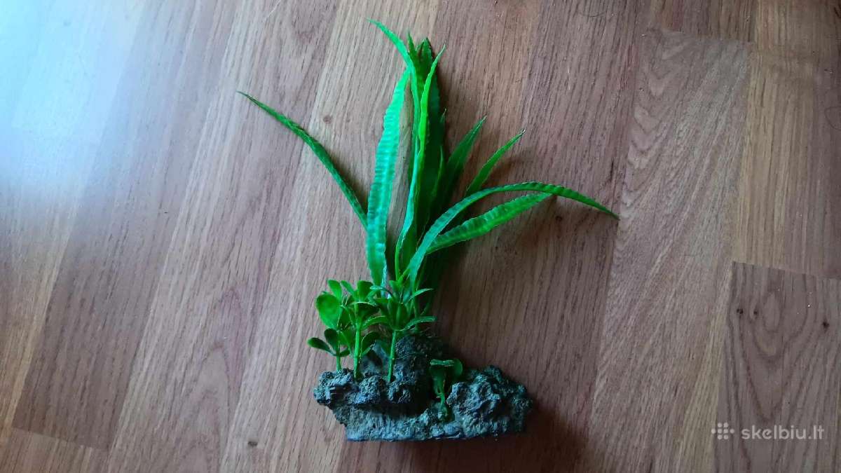 Akvariumo dekoracija:šaka,neršykla,dugno siurbėjas - nuotraukos Nr. 3