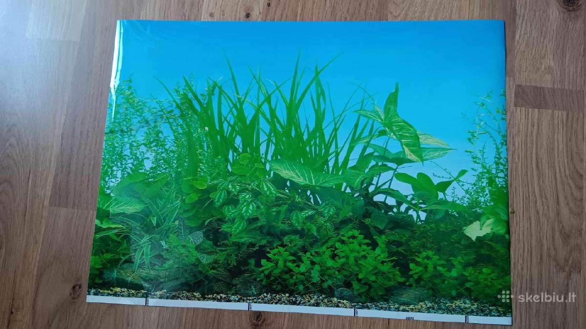 Akvariumo dekoracija:šaka,neršykla,dugno siurbėjas - nuotraukos Nr. 8