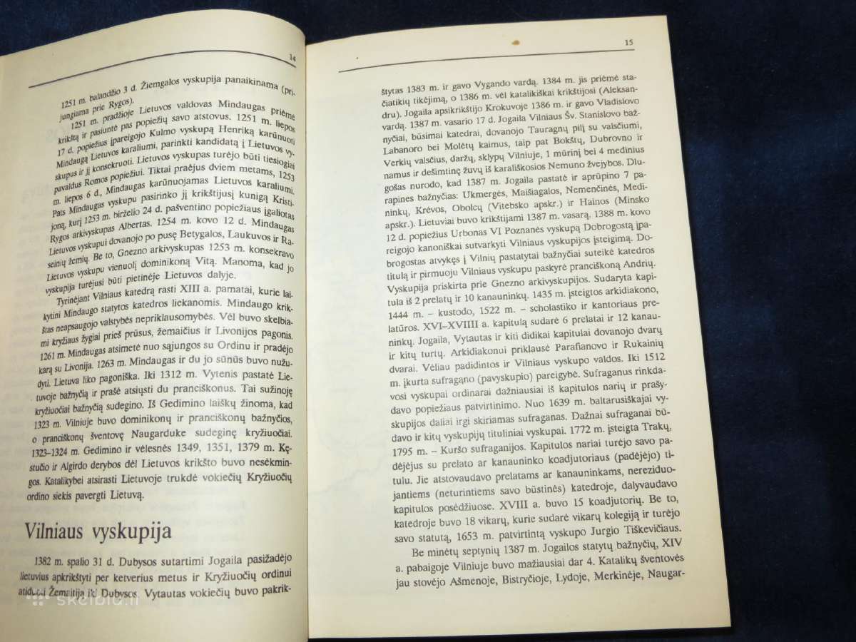 Knyga Lietuvos katalikų bažnyčios 1993 - nuotraukos Nr. 9