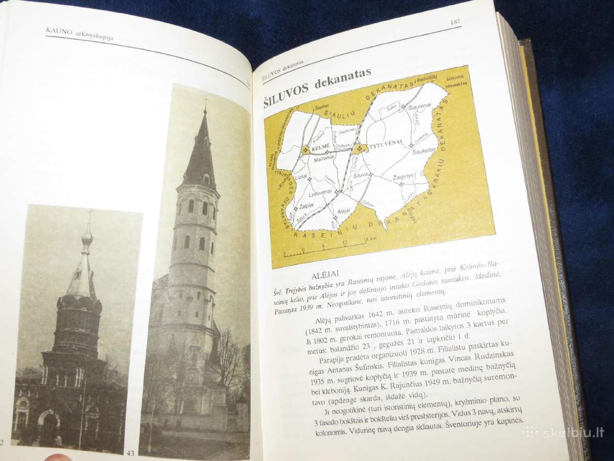 Knyga Lietuvos katalikų bažnyčios 1993 - nuotraukos Nr. 14